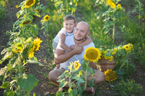 Papa und Sohn umarmen sich auf einem Sonnenblumenfeld. Sohn umarmt seinen Vater in einem Sonnenblumenfeld. — Stockfoto