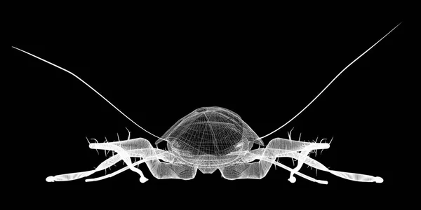 Κατσαρίδα στο σύρμα σκελετό — Φωτογραφία Αρχείου