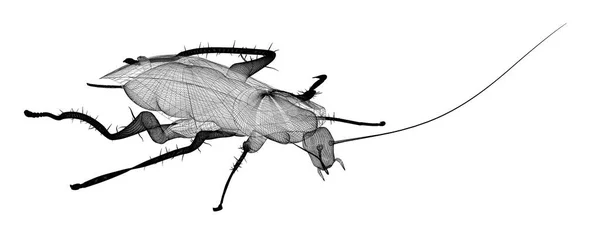 Cucaracha en canal de alambre — Foto de Stock