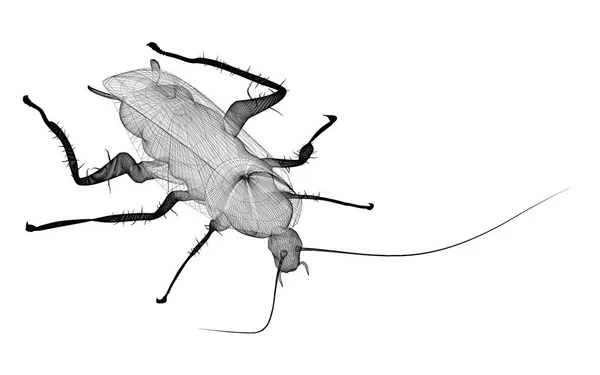 Kakkerlak in draad karkas — Stockfoto