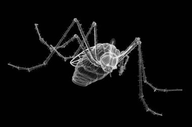 Sivrisinek tel karkas