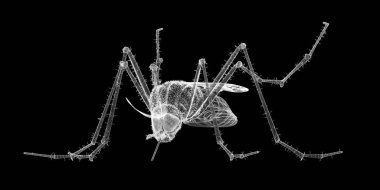 Sivrisinek tel karkas