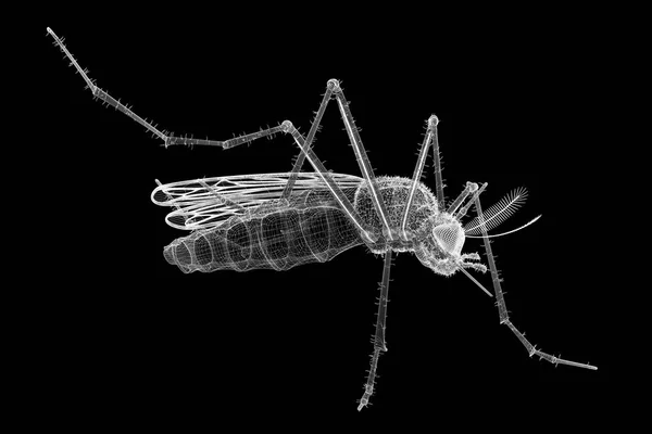 Mosquito en canal de alambre —  Fotos de Stock