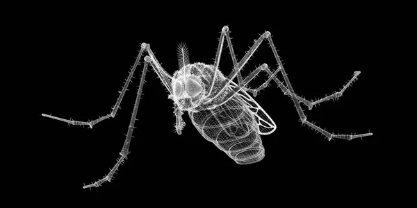 Комар в дротяній туші — стокове фото