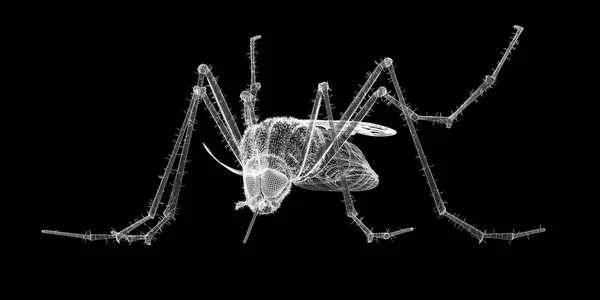 Mosquito em carcaça de arame — Fotografia de Stock