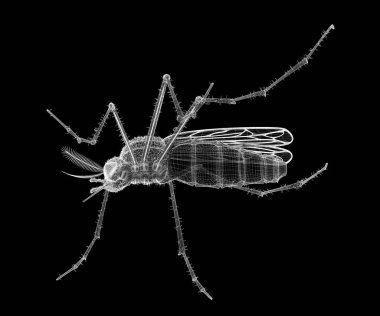 Sivrisinek tel karkas