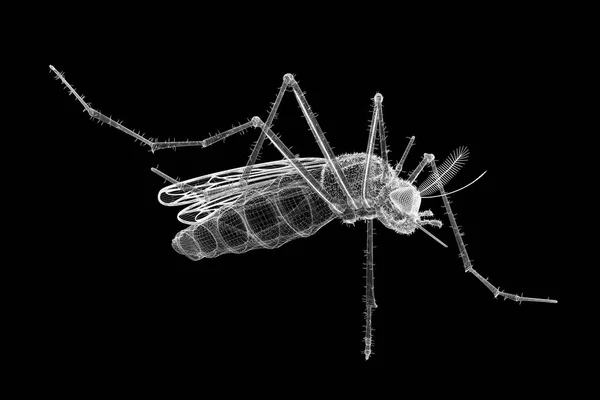 Mosquito en canal de alambre —  Fotos de Stock