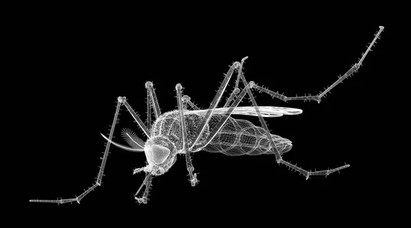 Mosquito in wire carcass — Stock Photo, Image