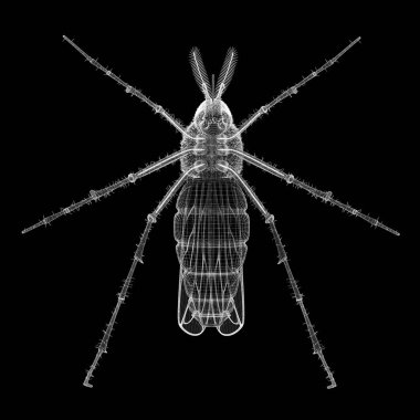 Sivrisinek tel karkas