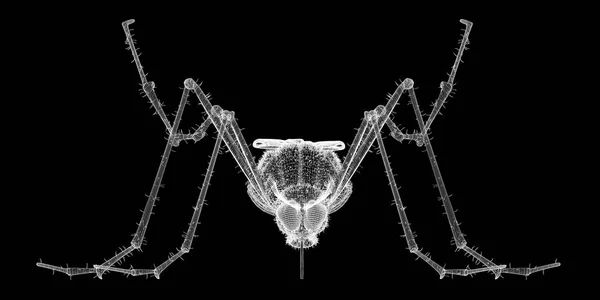 Комар в проволочном каркасе — стоковое фото