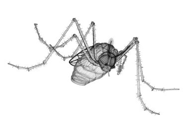 Sivrisinek tel karkas