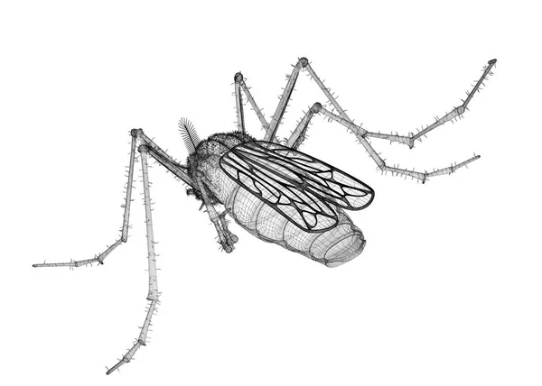 와이어 시체에 모기 — 스톡 사진