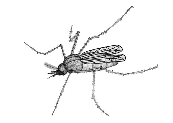 Komár v drátu kostry — Stock fotografie
