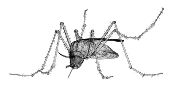 Mosquito em carcaça de arame — Fotografia de Stock