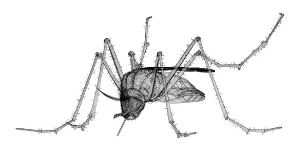 ワイヤー枝肉の蚊 — ストック写真