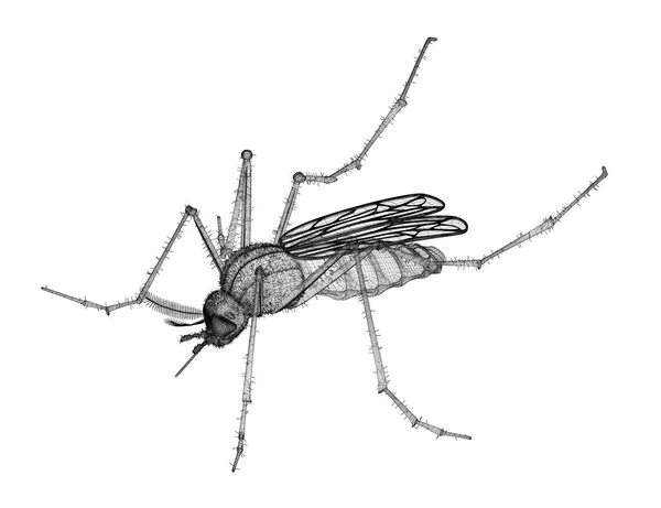 Zanzara in carcassa di filo metallico — Foto Stock