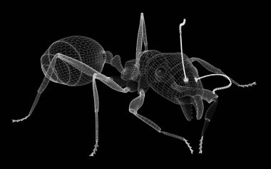 karıncalar, tel karkas