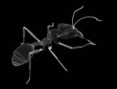 karıncalar, tel karkas