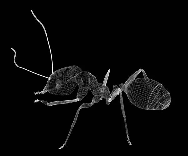 Mravenec v drátu kostry — Stock fotografie