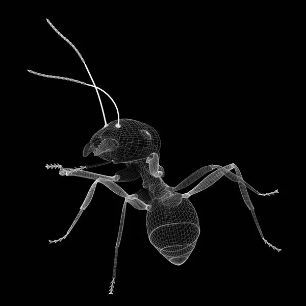 ワイヤー枝肉で ant — ストック写真