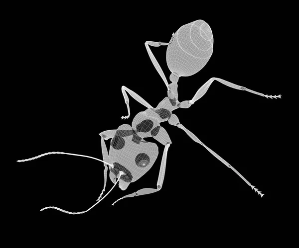 Mravenec v drátu kostry — Stock fotografie