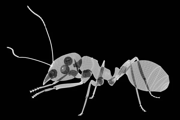 ワイヤー枝肉で ant — ストック写真