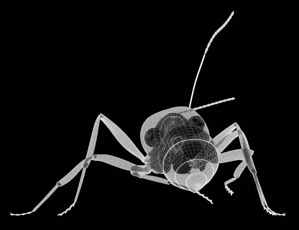 Μυρμήγκι σε σύρμα σκελετό — Φωτογραφία Αρχείου