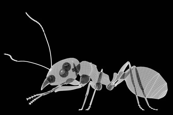 Mrówka w drutu osnowy — Zdjęcie stockowe