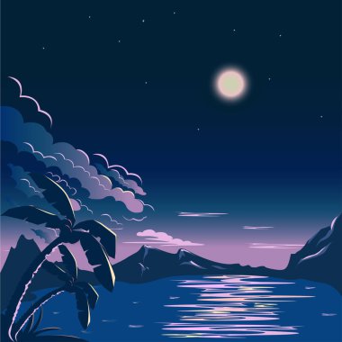  Yıldızlı gökyüzünün arka planına karşı Gece Dağı Gölü. Tropik bölgeler. Vektör grafikleri