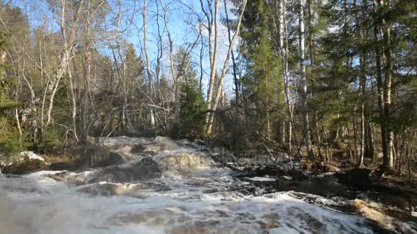 Waterfall on the Tohmajoki River — Stock Video