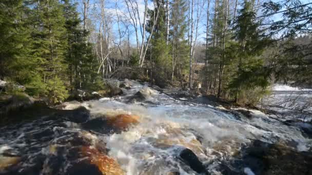 Cachoeira no rio Tohmajoki — Vídeo de Stock