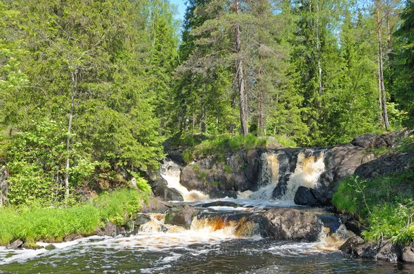 Vattenfall på floden Tohmajoki Royaltyfria Stockfoton