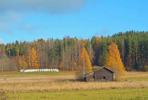 Podzim Skandinávská krajina — Stock fotografie