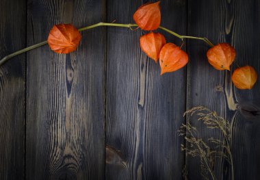 Ahşap arka plan üzerinde turuncu physalis