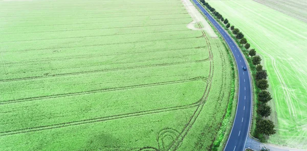 Аерофотозйомка заміської дороги між зеленими сільськогосподарськими полями — стокове фото