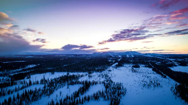 Vista Aérea Del Bosque Cubierto Nieve Tiempo Del Soleado Amanecer — Foto de Stock