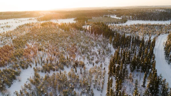 空中无人俯瞰田园诗般的冬季风景 绿雪覆盖着森林的顶部 太阳升起在芬兰人的土地上 大自然从鸟瞰 — 图库照片