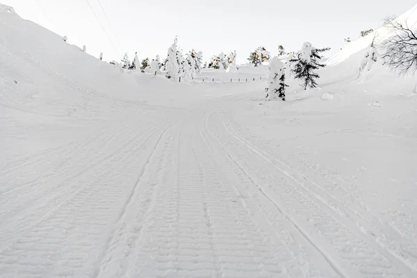 雪地上的雪地摩托痕迹 雪地上的雪地摩托痕迹 雪地上的脚印 — 图库照片