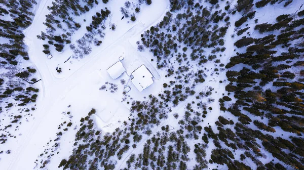 Vista Aérea Arriba Hacia Abajo Una Casa Cubierta Nieve Bosque — Foto de Stock