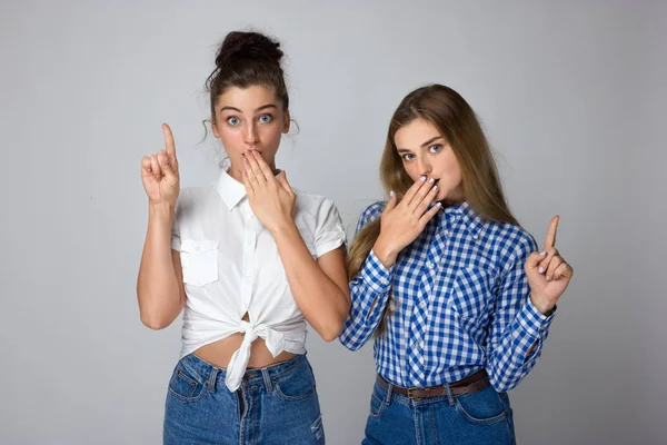 Glücklich Zwei Junge Schwestern Zeigen Auf Produkt Isoliert Auf Grauem — Stockfoto