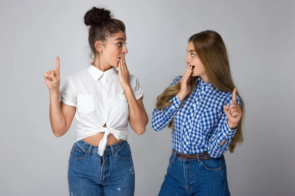 Ürün, gri arka plan üzerinde izole için yukarıyı mutlu iki genç kız kardeş