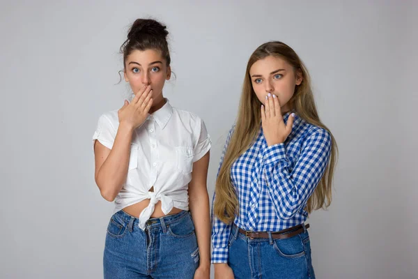 Δύο Νεαρές Αδελφές Που Καλύπτουν Στόμα Χέρια Τους Απομονωθεί Γκρίζο — Φωτογραφία Αρχείου