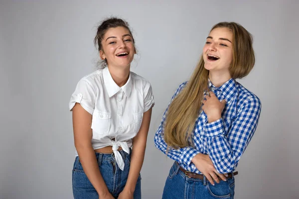 Porträt Der Schönen Lächelnden Zwei Jungen Schwestern Auf Grauem Hintergrund Stockfoto