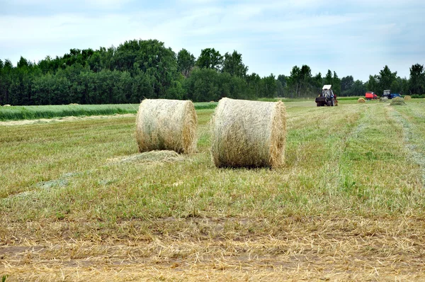 Hay and tractors. — Stock Photo, Image