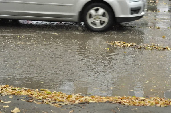 De herfst Slush. — Stockfoto