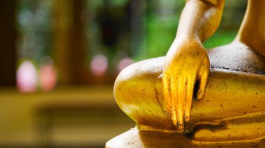 Altın Buda heykeli.