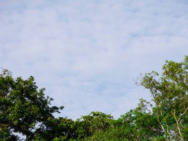 Güzel mavi gökyüzü 