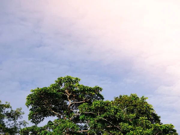 Hermoso cielo azul — Foto de Stock