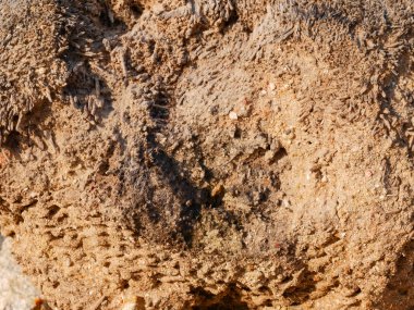 ahşap yüzey arka plan