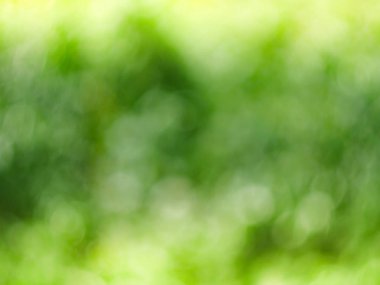 soyut, bulanık background.and defocused 